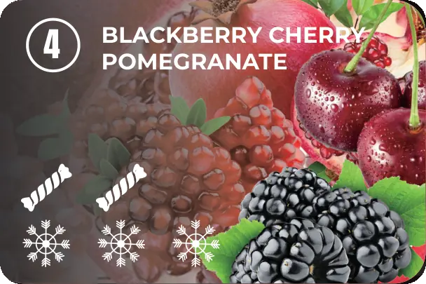 04 — Blackberry Cherry Pomegranate