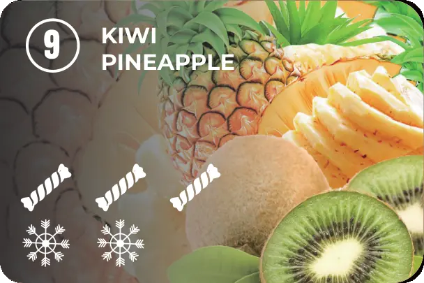 09 — Kiwi Pineapple
