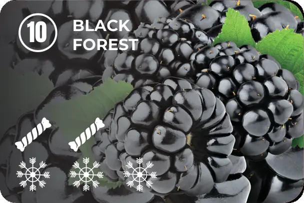10 — Black Forest