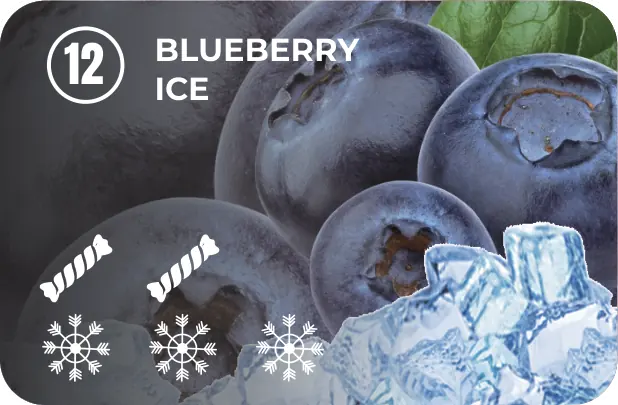 12 — Blueberry Ice